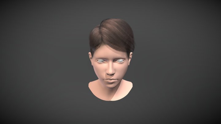 Hair pixie 3D Model