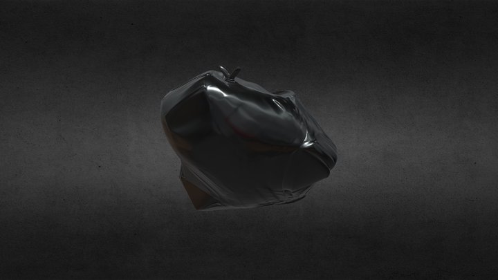 Trash Bag 3D Model