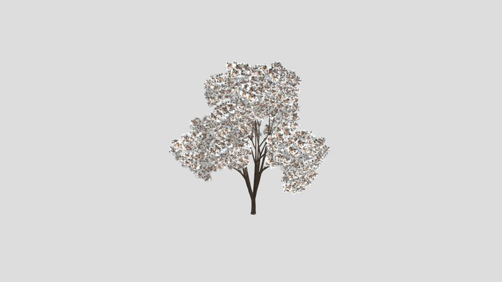 White Flowered Light Green Leaved Tree