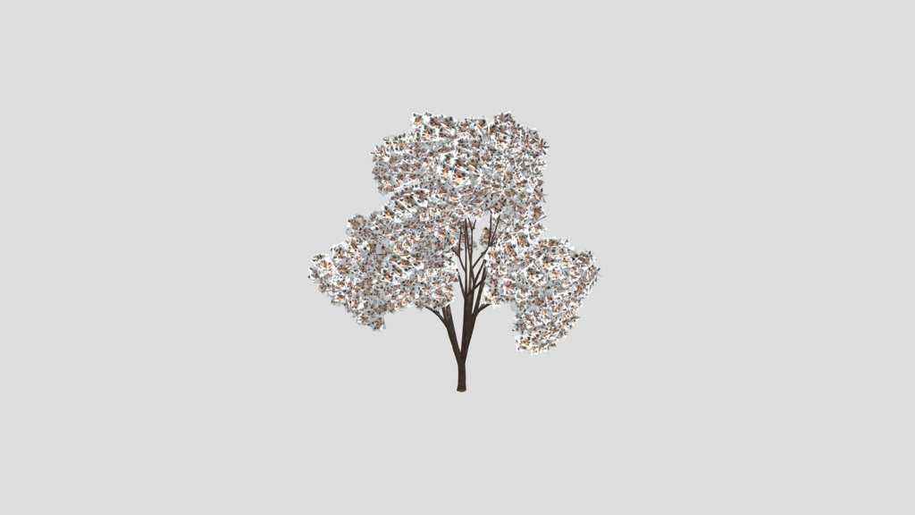 White Flowered Light Green Leaved Tree