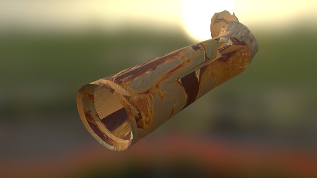 Rusty Pipe Tunnel 3D Model
