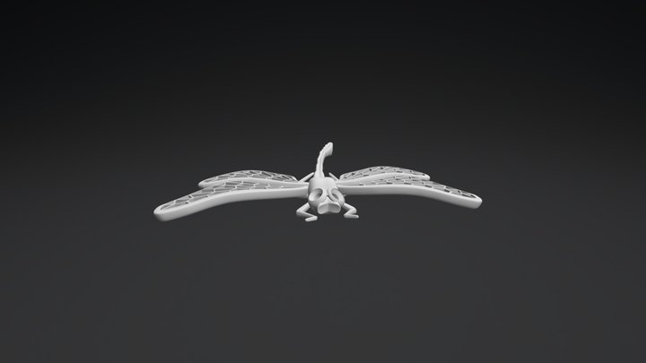 DragonFly 3D Model