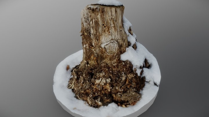 Winter Stump 2 3D Model