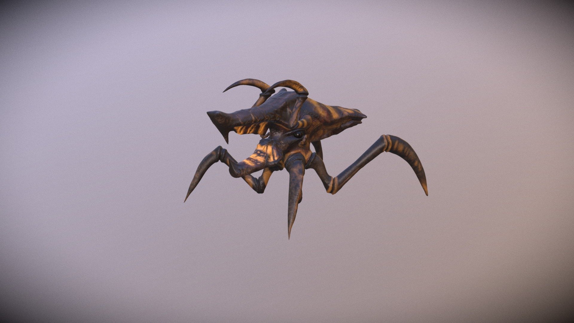 zWarrior