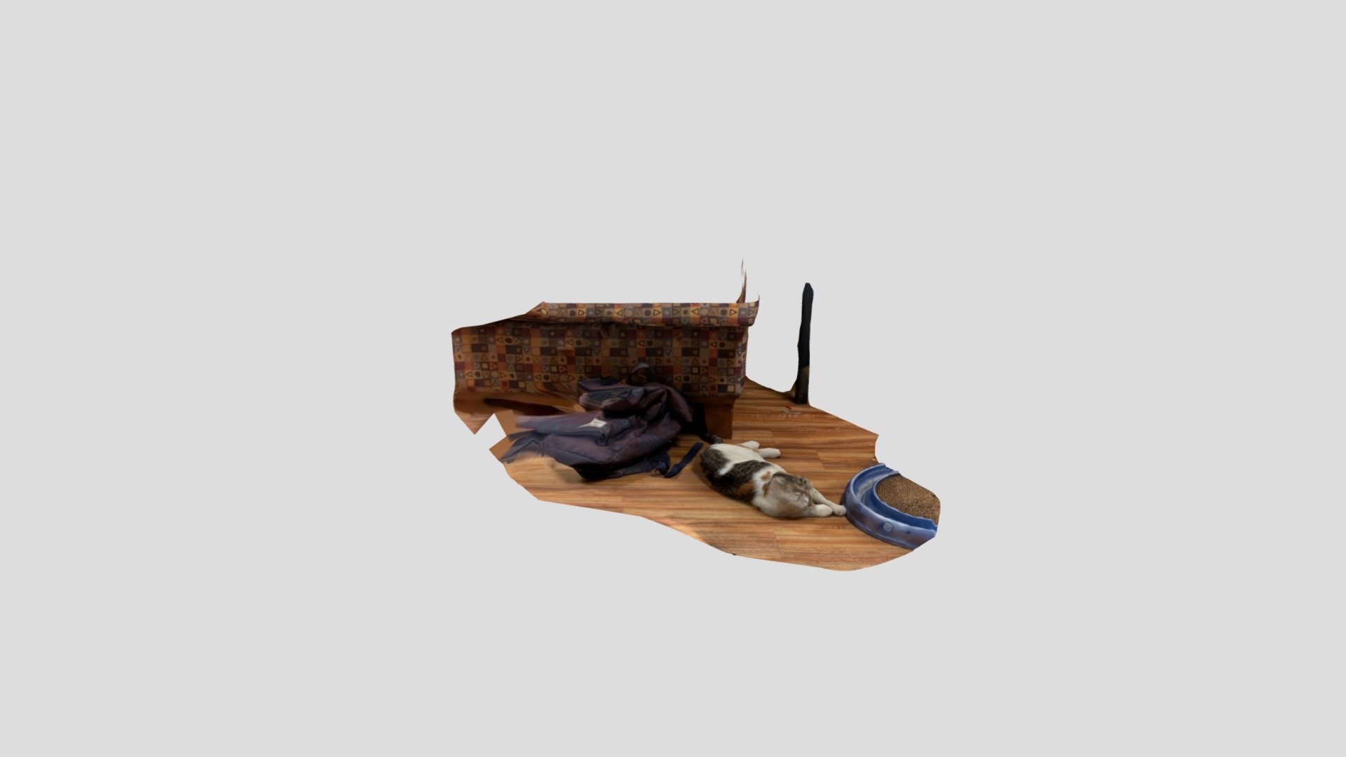 My messed up cat (photo edt.)