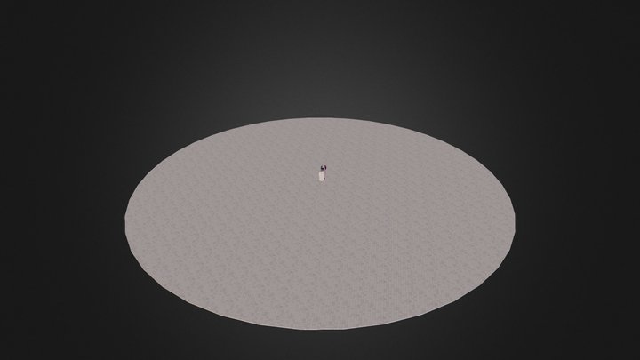Havaianas teste 3D Model