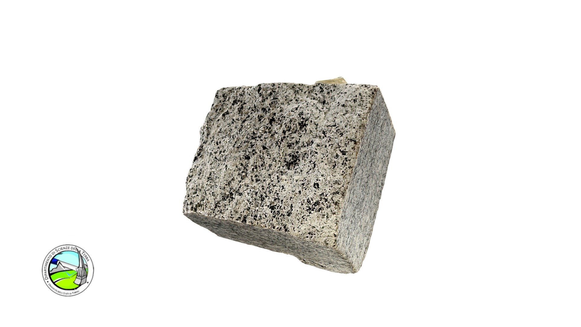 SN40 - Micascisto gneissico a due miche. - 3D model by Dipartimento di ...