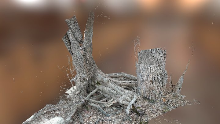 Tree Stump #2 3D Model