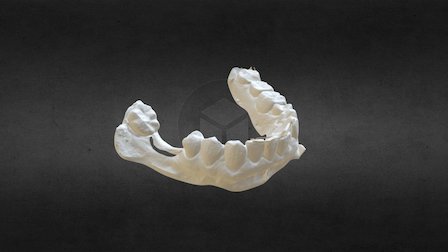 Deltort Shell Occlusion L 3D Model