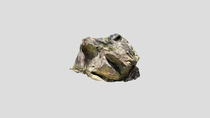 Ballinafunshoge boulder POLYCAM 3D Model