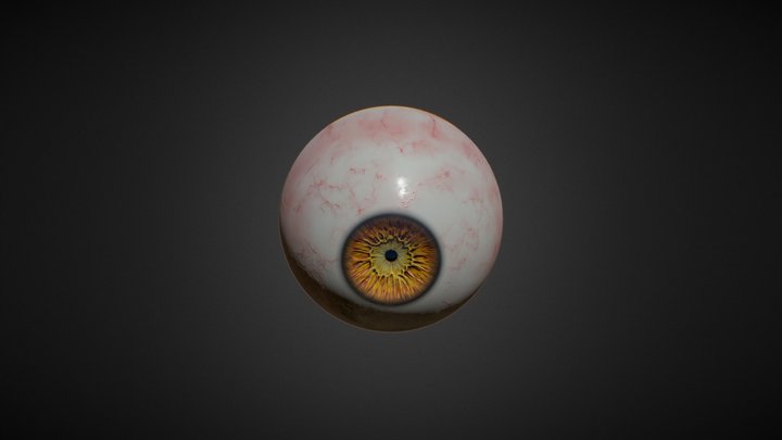Eye 3D Model