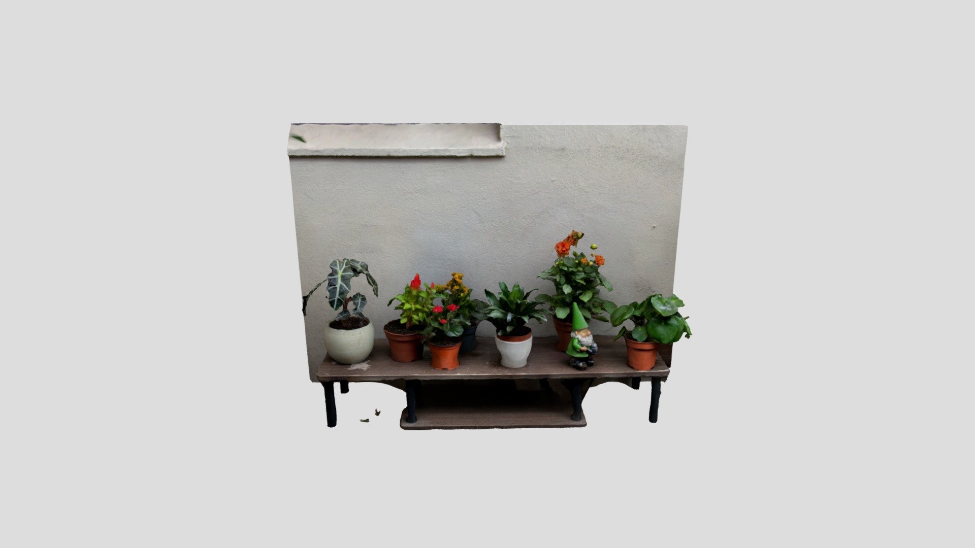 Polycam capture