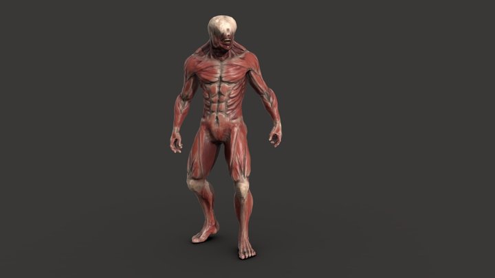 Skinless mutant 3D Model