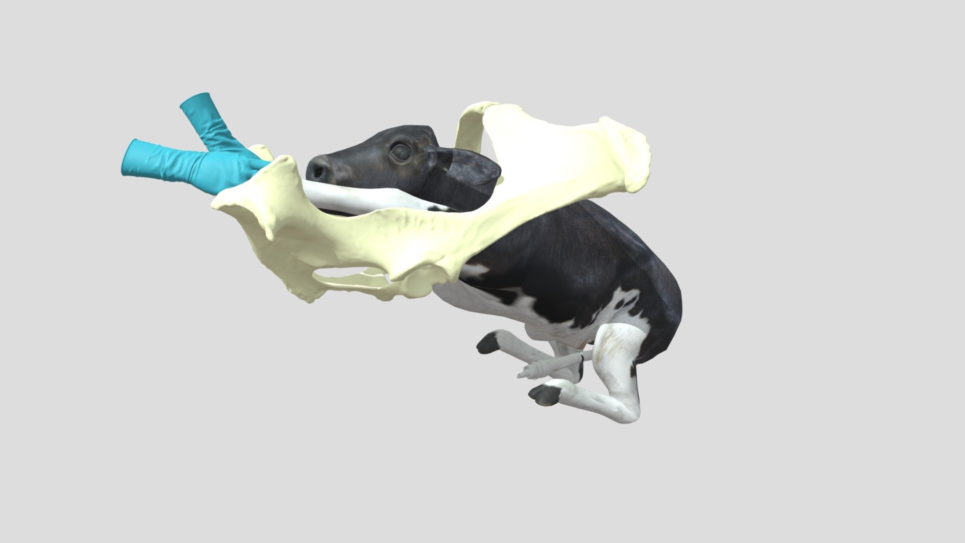 xx 01 — Sketchfab embed 3D viewer