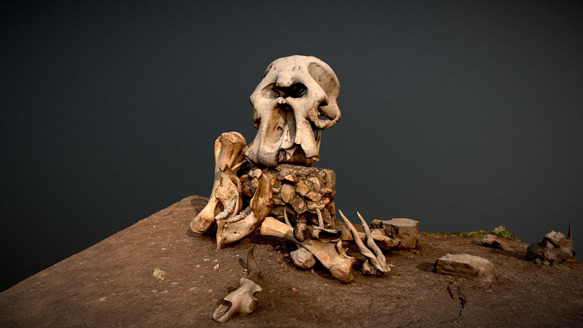 Elephant skull and bones, Tanzania thumbnail