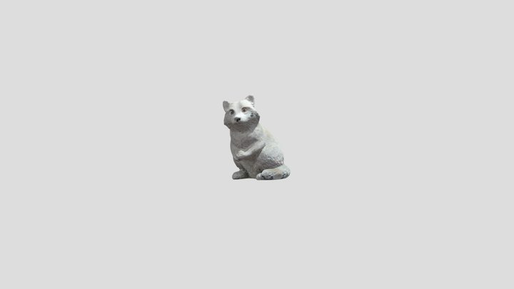 The Old White Raccoon That Lost His Eyes 3D VR 3D Model