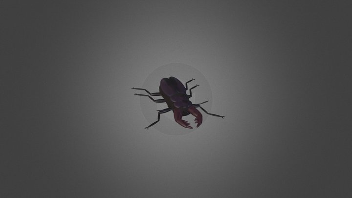 stag beetle 3D Model