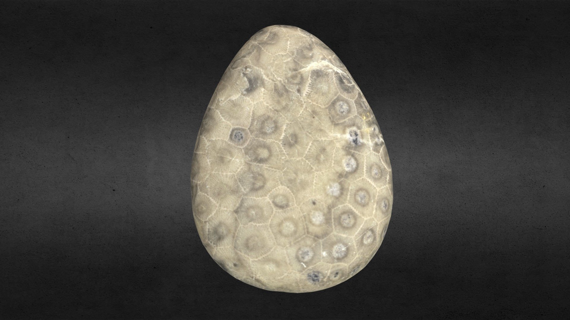 Petoskey Stone