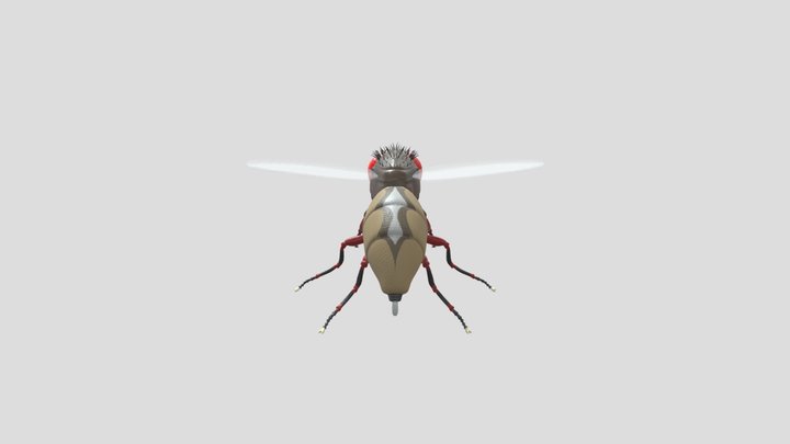 Eega[Fly] 3D Model