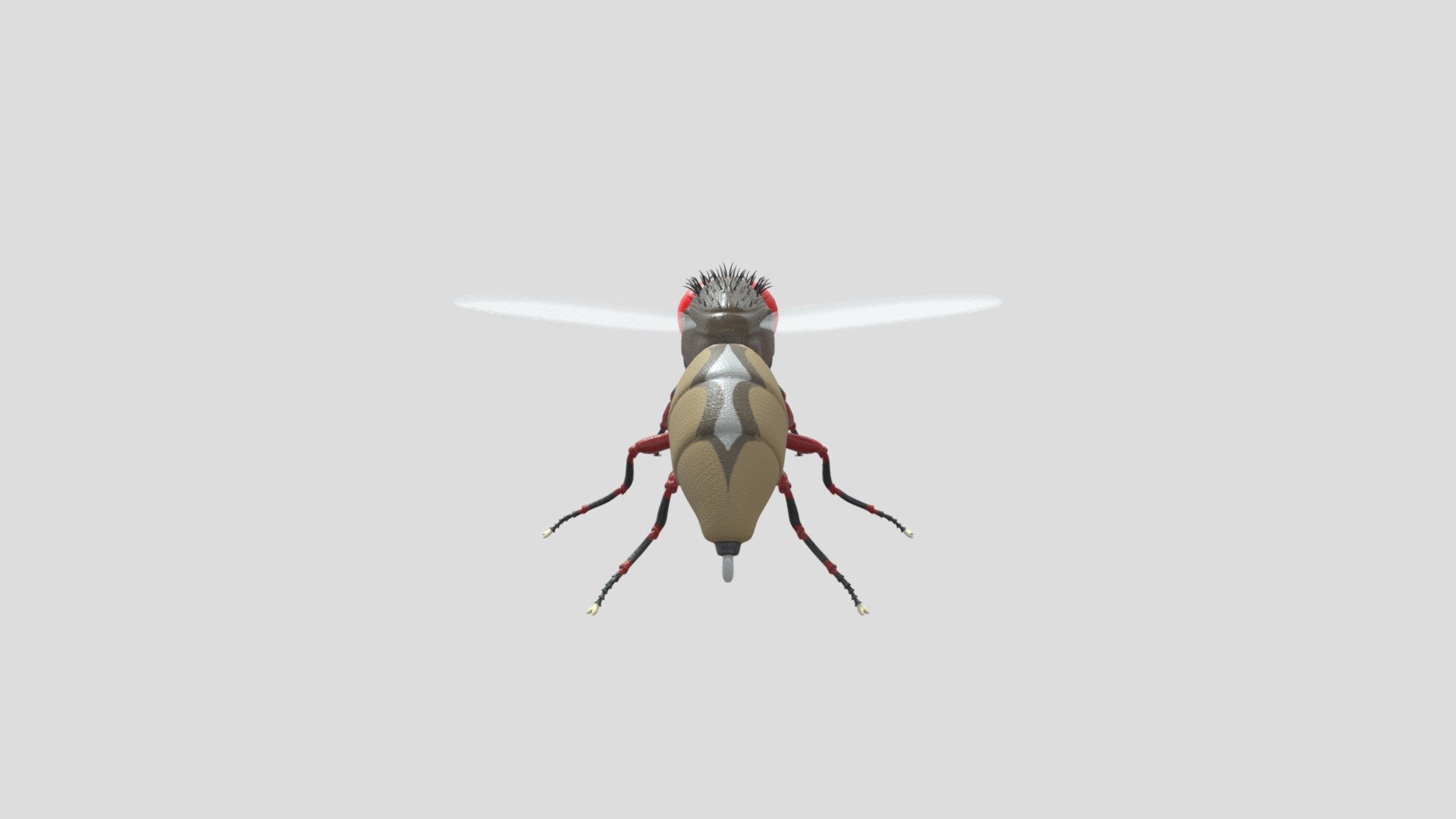 Eega[Fly] - 3D model by MojanMJ (@MojanMJ) [c0e09ce]