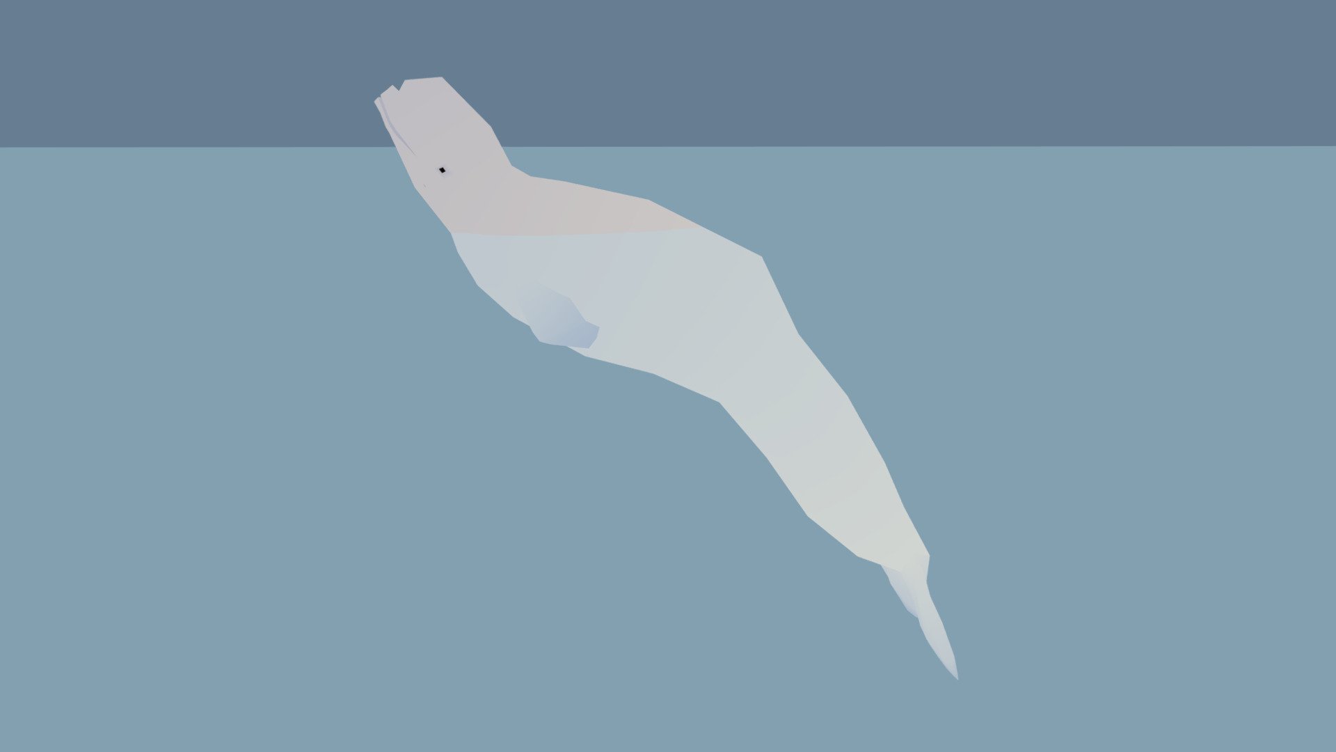 Beluga - animated - marine mammals series