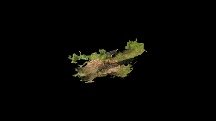 Collision | Mesh 3D Model