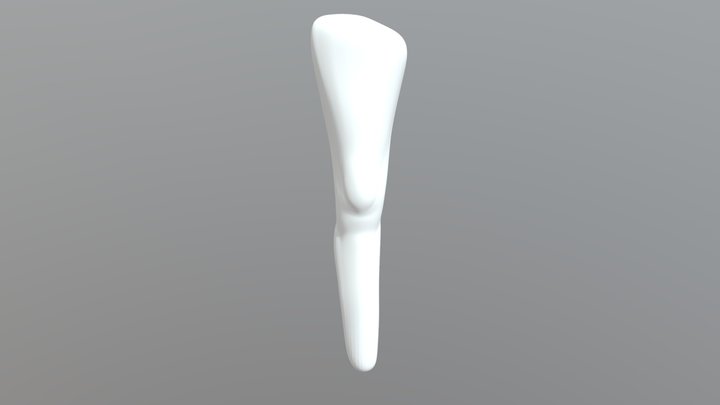 Anatomical Leg Study (Female) 3D Model