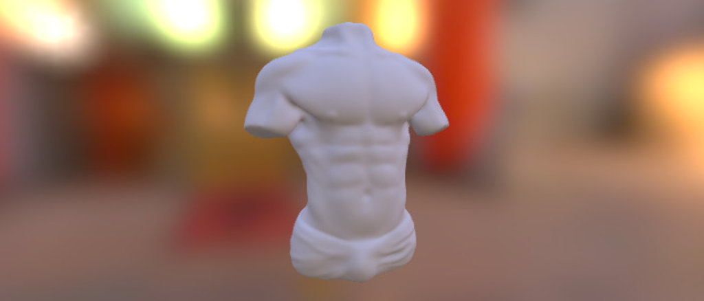 Torso