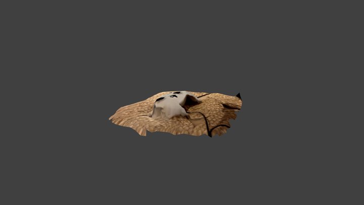 Test 3D Model