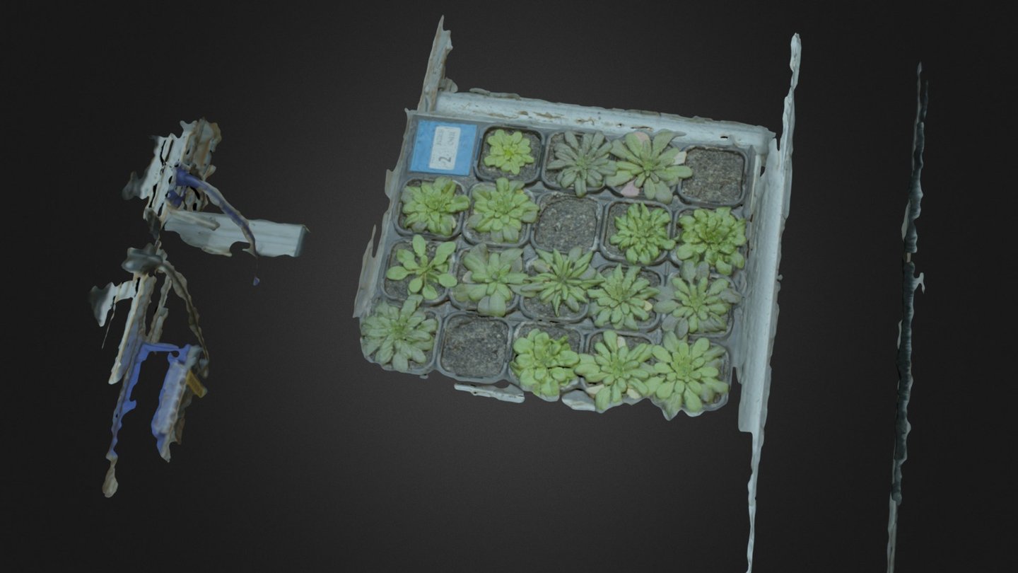trayscan-abd-1-NonNadirProcessing_simplified_3d_