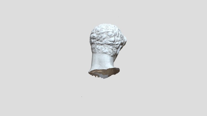 Cabeza de Joven atleta, nº inventario UGR 1874 3D Model