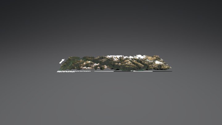 Mount Colombia Area 3D Model
