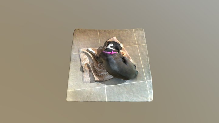 Glux 3D Model