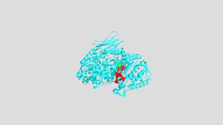 Isocitrate Dehydrogenase+NAD+Isocitrate 3D Model