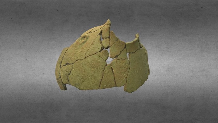 La tinaja de Navalahija 3D Model