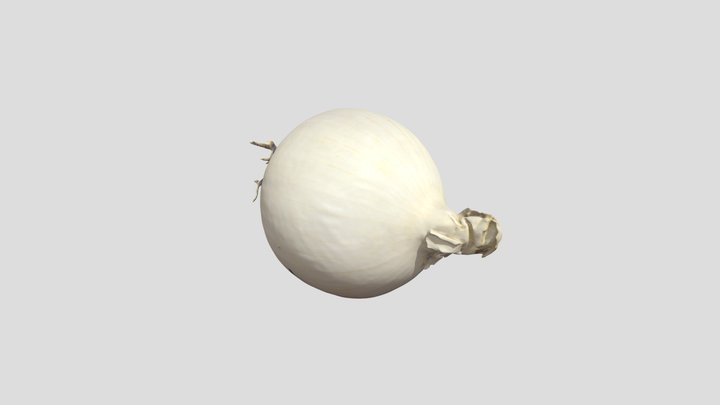 onion_4 3D Model