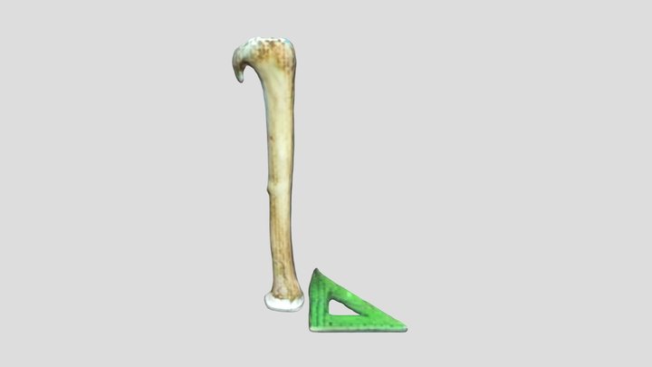 Preview 3D Model