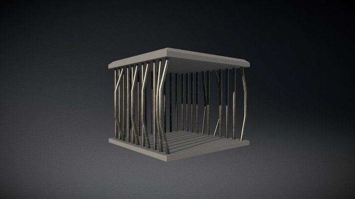 Cage2 3D Model