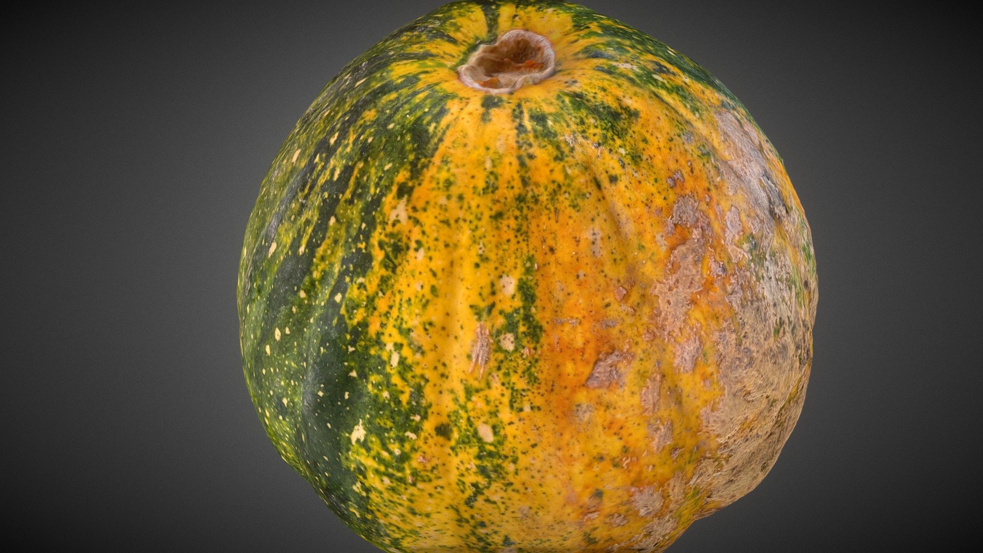 Acorn Squash — Sketchfab embed 3D viewer