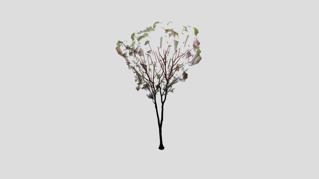 Black Alder Thin