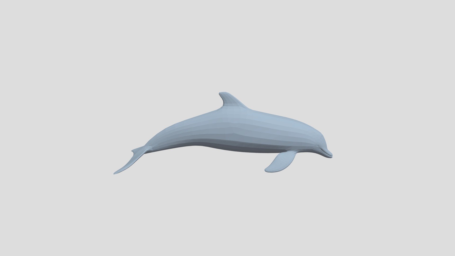 Dolphin from Poly by Google