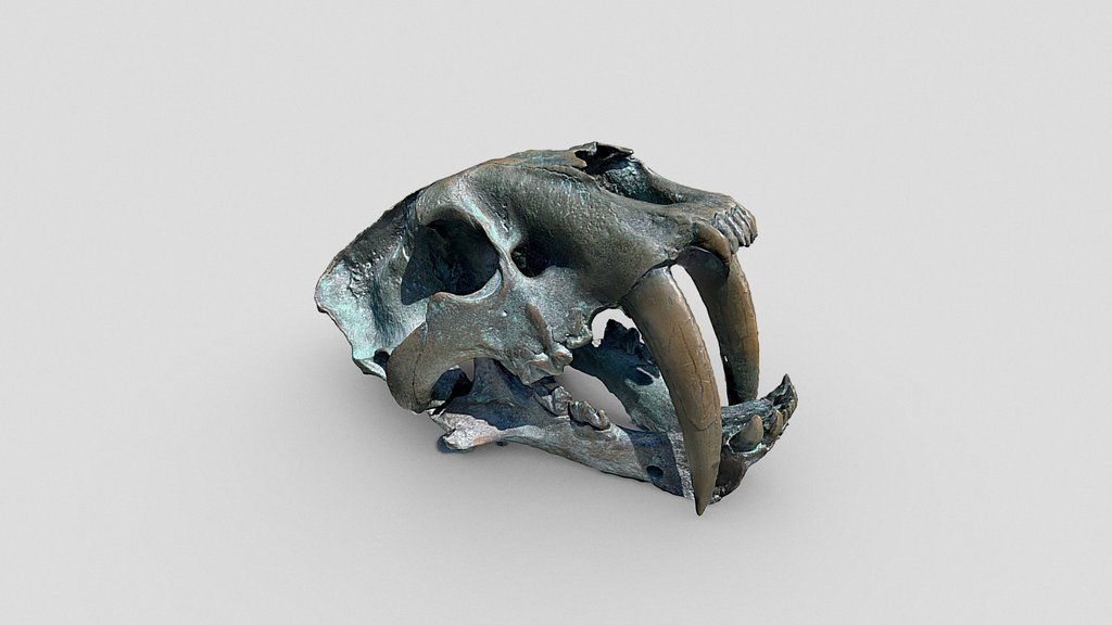 Day 237: Skull @Embarcadero (SF) - 1scanaday