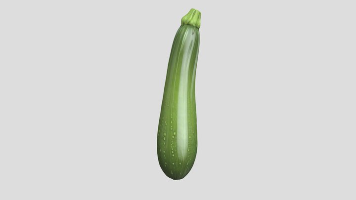Zucchini 3D Model