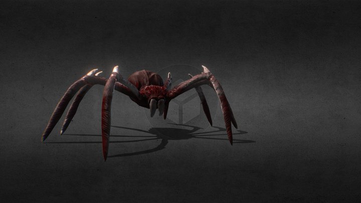 Spider Attack 3D Model