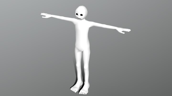 Head & Body Practice Model #1