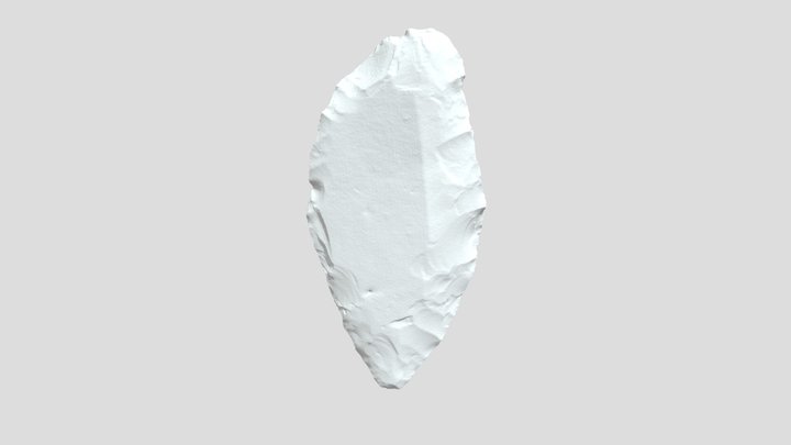 和光6区遺跡和光6区遺跡表採石器3Dデータ 3D Model