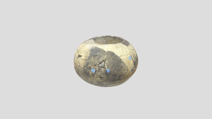 Watson site- Chapin Gray seed Jar 3D Model