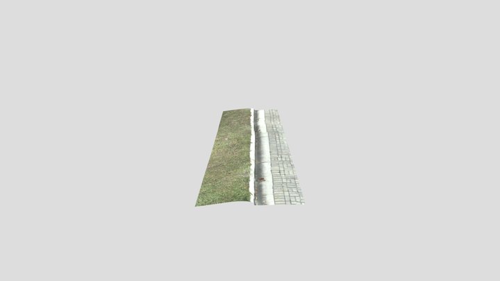 Scan Paved Street 3D Model