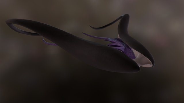 Alien Ship 3D Model