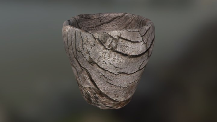 Woodglass 3D Model